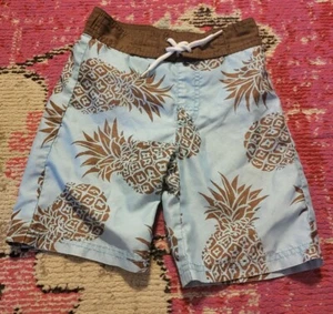 GUC Gymboree boys swimtrunks board shorts trunks size 4t blue brown pineapple - Picture 1 of 2