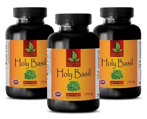 Holy Basil 750. Stress Relief. Helps Anti-Aging Process (3 Bottles) - Picture 1 of 2