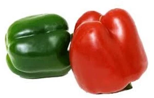 Californian Wonder CAPSICUM green to red vegetable plants 4cell seedling punnet - Picture 1 of 4