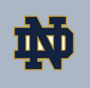 Imán de coche - fútbol americano Notre Dame NCAA - IMÁN - Imagen 1 de 1