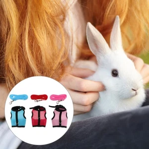 Precioso conjunto de arnés y correa chaleco conejito suministros prácticos para mascotas para ratas hurón - Imagen 1 de 12