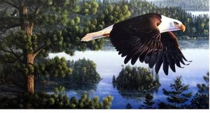 Kim Norlien Wings of Destiny Eagle Print Artist Proof 25.25 x 15.25 - Picture 1 of 1