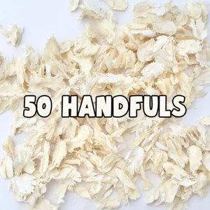 Confeti de boda biodegradable | Pétalos de confeti blanco marfil | Pétalos secos - Imagen 1 de 6