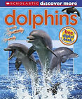 Dolphins Paperback Penny Arlon