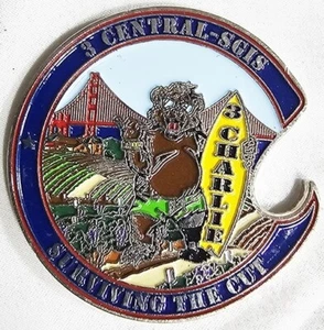 Challenge Coin 3 Central-SGIS 3 Charlie Tyndall Air Force Base - Picture 1 of 2