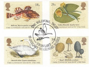 Linnean Society Used Wildfowl Trust Swan Lake Arundel (a) 1988 ON PIECE (148435) - Picture 1 of 1