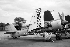 Royal Navy Hawker Sea Fury FB.11 WG596 at Hurn (1961) Photograph - Picture 1 of 1