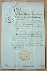 Documento, museo, Braunschweig y Lüneburg, época napoleónica 1813 (art. 5138) - Imagen 1 de 5