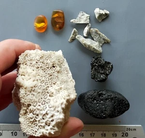 11 MINERALES SURTIDOS: mineral de oro, coral fósil, ámbar birmita con insectos, tectitas - Imagen 1 de 8