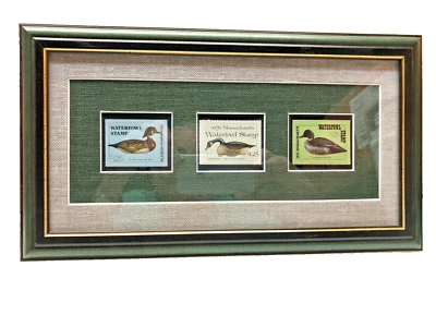 WATERFOWL DUCK STAMPS MASSAHUSETTS 1974, 75, 76  FRAMED & DBLE  MATTED 13.5 x 7" - Image 1 of 3