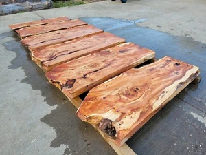 Live Edge English Yew Slabs 1.45m Long 75mm Thick Beautiful Free Delivery - Picture 1 of 14