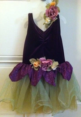 Curtain Call Fairytale Princess Costume Dress Child Girl Small Age 4-5 - Изображение 1 из 4