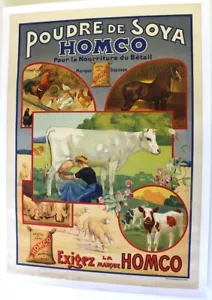 AFFICHE AGRICOLE RURALE 1900 SOYA SOJA HOMCO ALIMENT BETAIL FERME PAYSAN - Bild 1 von 9