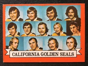 1973/74 TOPPS CALIFORNIA GOLDEN SEALS TEAM CARD #95 EX+ - Picture 1 of 2