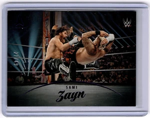 Sami Zayn 2023 Panini Chronicles Luminance WWE púrpura #166 WWE crudo #27/49 - Imagen 1 de 2