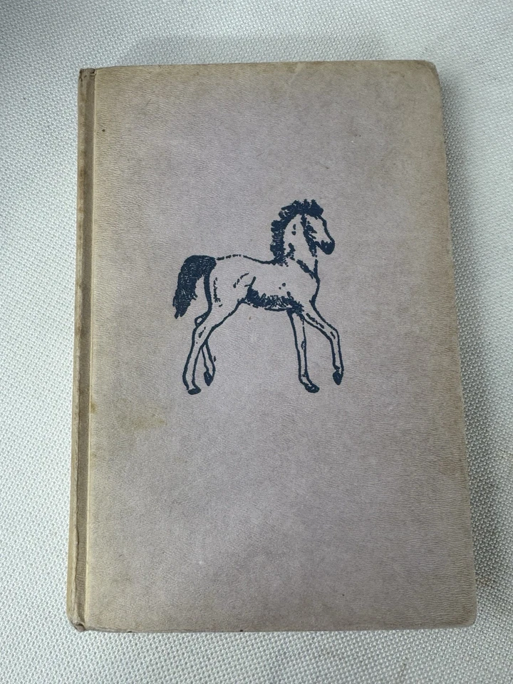 Vintage Book Wildwing Phoebe Erickson 1960 Horse Book Foto 1 de 4