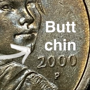 2000-P Sacagawea One Dollar Coin Tone Surface & RARE Butt Chin w/ Video - Bild 1 von 18