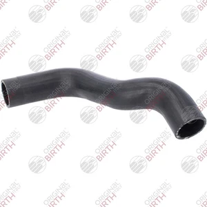 Flessibile aria alimentazione 55746 BIRTH per FIAT ALFA ROMEO - Imagen 1 de 1