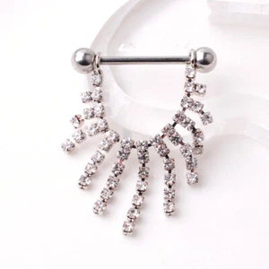 2pcs Tassel U Piercing Shield Bars Steel Piercing Nipple Piercing For Woman Men - Picture 1 of 9