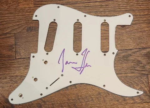 JAMES TAYLOR SIGNED GUITAR PICKGUARD HOW SWEET IT IS LOVED W/COA+ EXACT PROOF C Cover