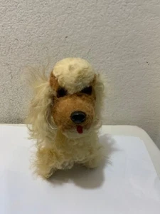 Vintage Steiff 50er Jahre Pekineser Welpe Hund Mohair Plüsch - Bild 1 von 7