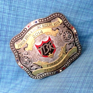 Gist JBR Finalist Senior Bulls Trophy Belt Buckle 2016 Junior Bull Bronc .SHY376 - Picture 1 of 10