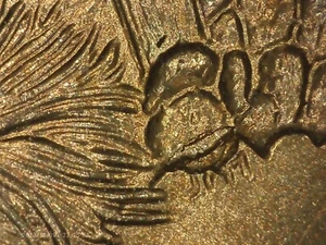 2008P. Arizona* ERROR*Quarter Extra CACTUS LEAF*out of US*MENT ROLL OFFER.S#29 - Picture 1 of 6