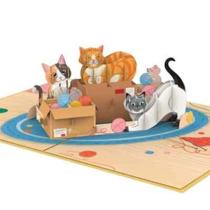 POP UP 3D Klappkarte-Niedliche Katzen- Maus Wolle Hauskatze Gutschein Geburtstag - Bild 1 von 4