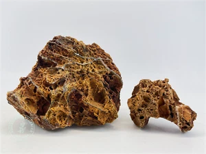 Maple Leaf Stone / Planted Aquarium / Decoration / Hardscape - Picture 1 of 10