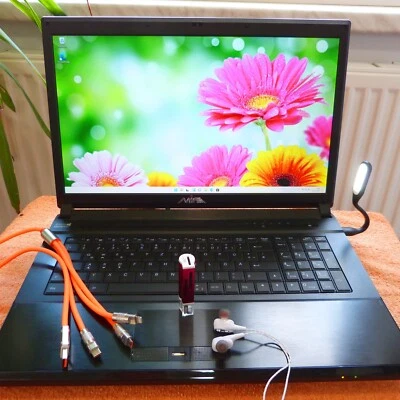 Clevo P170 17 pollici HIGH END GAMING 8GB GTX l 1TB SSD Windows 11 l 16GB RAM... - Immagine 1 di 4