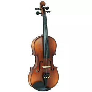 D'Luca Solid Wood Hand-Made Ebony Violin 4/4 Full Size - Picture 1 of 7