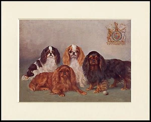 CAVALIER KING CHARLES ENGLISH TOY SPANIEL DOG GROUP LOVELY PRINT READY TO FRAME - Picture 1 of 1