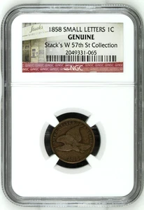 1858 USA Flying Eagle 1C Cent CuNi Kupfer-Nickel NGC Original - Bild 1 von 6