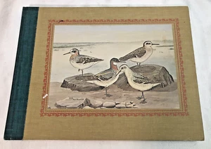 Treasury of Bird Paintings Rex Brasher, Rowman & Littlefield 1967 - Picture 1 of 24