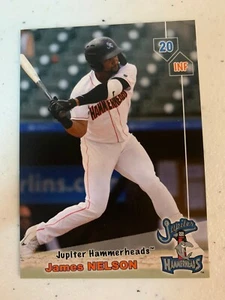 James Nelson 2019 Jupiter Hammerheads Team Card - Picture 1 of 1