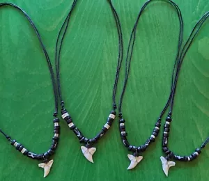 1 x Haizahn Kette Surfer Shark Tooth Zahn Mako Hai Haifischzahn Beach Anhänger - Bild 1 von 2