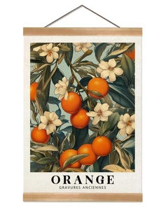 Farmhouse Orange Wall Art,Vintage Botanical Fruit Poster, French Style Citrus... - Foto 1 di 7