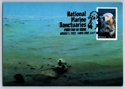 #5713j National Marine Sanctuaries Seal Otter FDC Maxi Card w/Pictorial Cancel - Image 1 of 2