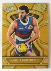 2025 Select AFL Luminous Dragon Scales Gold/399 - Elige tu tarjeta - Imagen 1 de 46