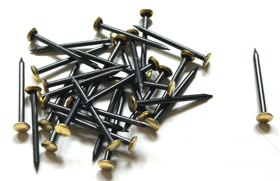 S&S-SHOP Stahl Bildernägel I Größe und Menge wählbar I mit Messingkopf - gehärtet