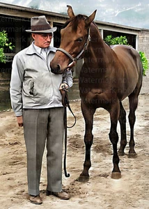 Seabiskuit Pferd seltenes Farbfoto 301 REMASTERED - Bild 1 von 1