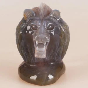 3.9" Natural Geode Agate Quartz Crystal Hand Carved Lion Head Animal 624g - Bild 1 von 8