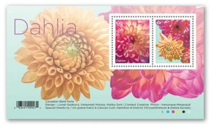 DAHLIA = GARDEN FLOWERS = Souvenir sheet = MNH Canada 2020 - Picture 1 of 1