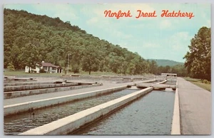 Norfolk Arkansas Vintage Postcard Trout Hatchery Ozark Mountains - Picture 1 of 2