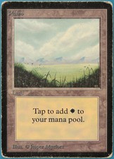 Plains (A Light) Beta VERY HEAVILY PLD Basic Land MTG CARD (ID# 248357) ABUGames
