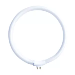 Lampada fluorescente anello tubo T4 22W/865 bianco caldo 6500K luce diurna G10q esterno 4 pin - Foto 1 di 2