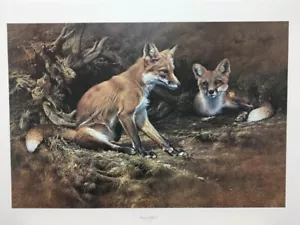 Alan Hunt Vixen & Friend Fox Signed & Numbered Wildlife Art Print - Picture 1 of 1