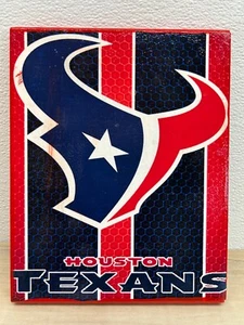 HFL Houston Texans Wanddeko Gemälde Schild Größe: 10 x 8 - Bild 1 von 4