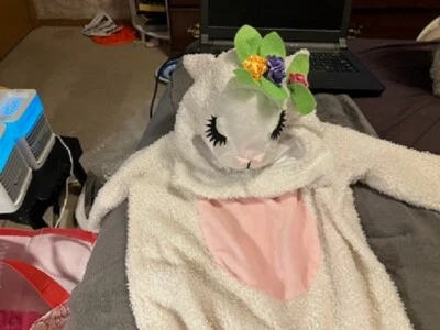 Infant Halloween costume 2 piece lamb/sheep 12-18 mo. long sleeve footed - Image 1 of 4