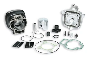 GRUPPO TERMICO MALOSSI PIAGGIO LC NUOVO 31-7353 PIAGGIO QUARTZ GILERA RUNNER - Foto 1 di 1